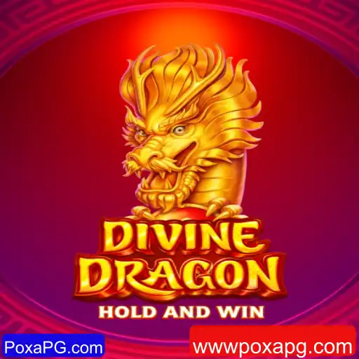 Descubra o Mundo Envolvente de DivineDragon